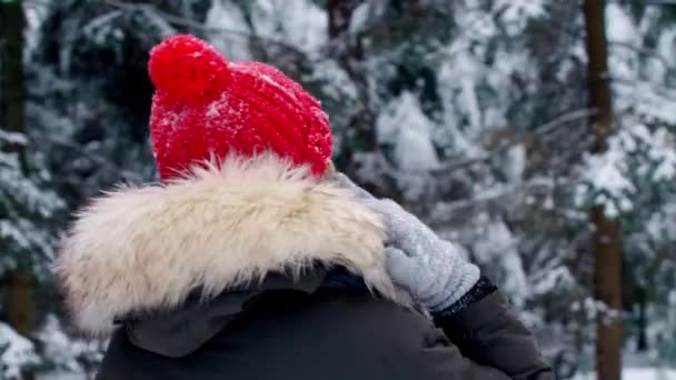 Νεαρή Γυναίκα Απολαμβάνοντας Χειμερινό Τοπίο — Αρχείο Βίντεο