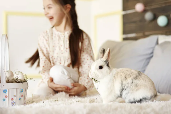 Flauschiges Kaninchen Frisst Heu Bett — Stockfoto