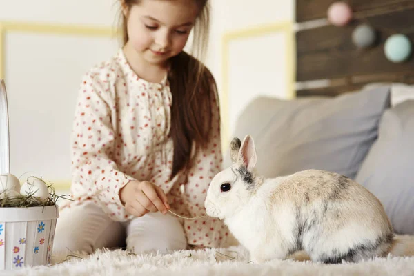 Mädchen Hat Spaß Mit Kaninchen Auf Dem Bett — Stockfoto