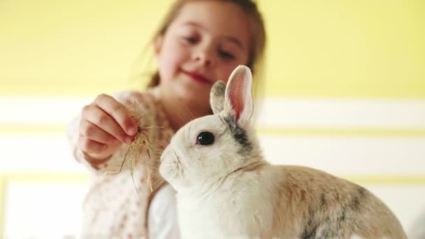 Tavşan Besleme Çocuk Yakın Çekim — Stok video