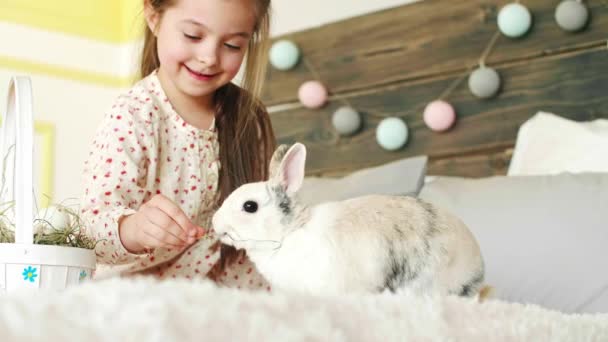 Smiling girl feeding the rabbit