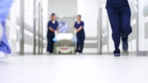 Hastane Koridorunda Hekimlerin Bulanık Görünüm — Stok video