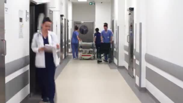 Time Lapse Video Busy Doctors Corridor — Stock Video