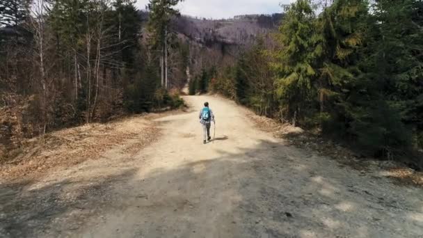 バックパックハイキングを持つ男の背面図 — ストック動画