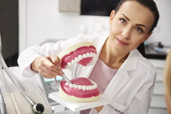 Porträtt Leende Tandläkare Som Innehar Konstgjorda Tandproteser — Stockfoto