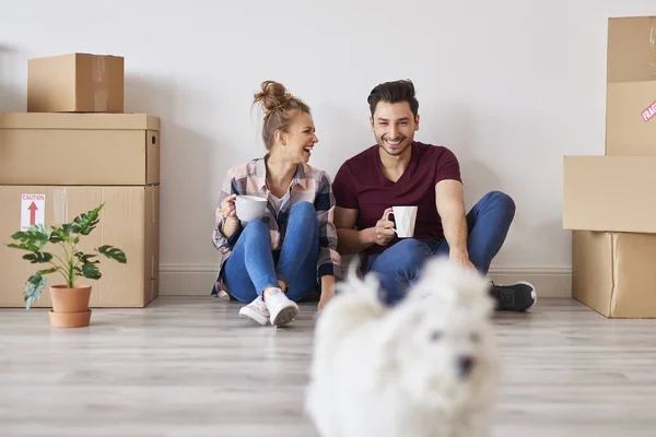 Fröhliches Paar Mit Kaffeetassen Entspannt Seiner Neuen Wohnung — Stockfoto