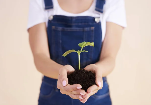 Close Small Plant Hands — Stock Photo, Image