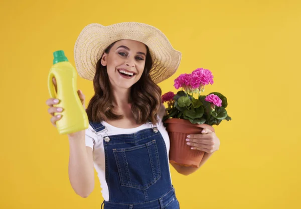 Jardineiro Fêmea Segurando Fertilizante Vaso Flores Com Pelargônio — Fotografia de Stock