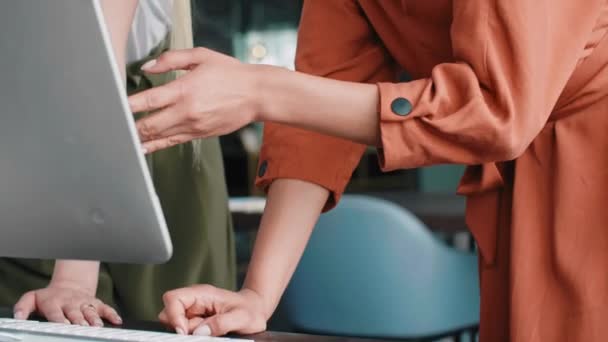 Young Coworkers Working Computer — Stock Video