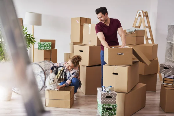 Jovem Casal Novo Apartamento Com Pequeno Cão — Fotografia de Stock