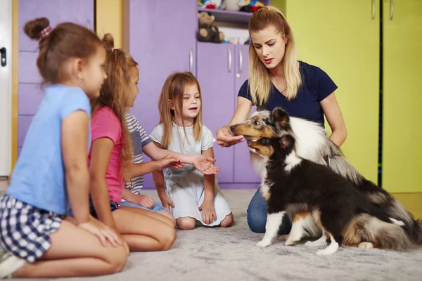 Crianças Brincando Com Cães Pré Escola — Fotografia de Stock