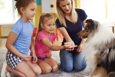 Köpeğe elini veren kız 