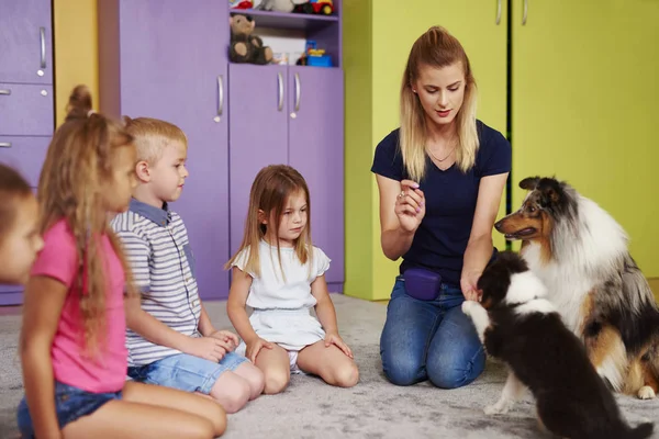 Piccolo Gruppo Bambini Che Giocano Con Cane Terapia Nella Scuola — Foto Stock