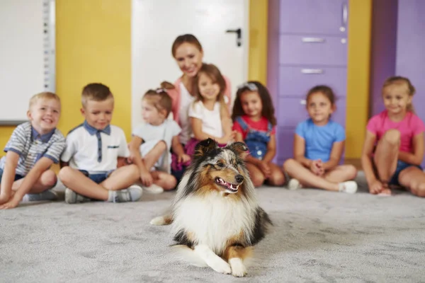 治疗犬和背景中的儿童组 — 图库照片