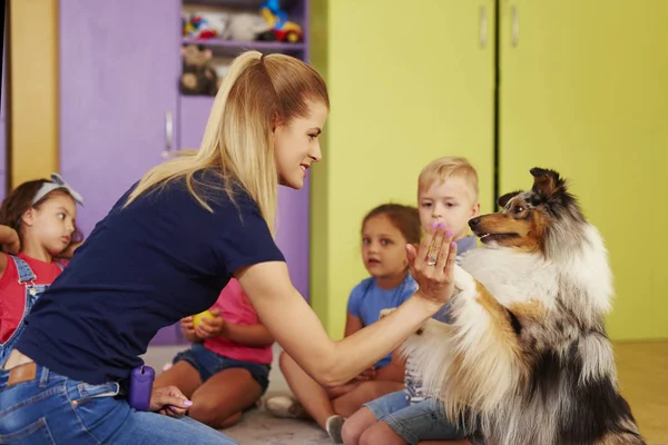 Terapia Cão Dando Mulher Pata — Fotografia de Stock