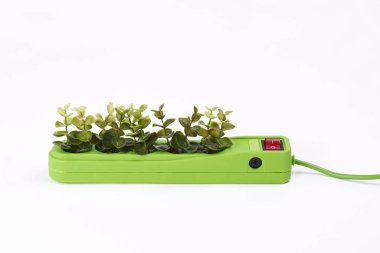 Beyaz arka plan üzerinde bitkiler ile elektrik soketi