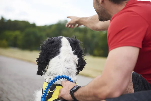 Homme Son Chien Faisant Une Courte Pause Pendant Course — Photo