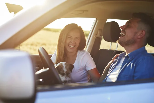 Escena Alegre Pareja Joven Perro Durante Viaje Por Carretera —  Fotos de Stock