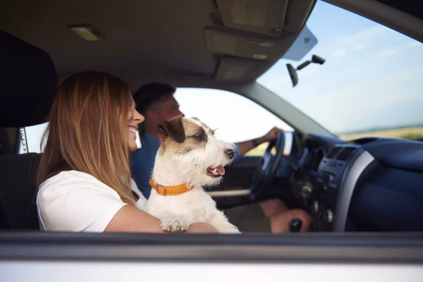 Widok Boku Młodej Pary Psa Podróżujących Samochodem — Zdjęcie stockowe