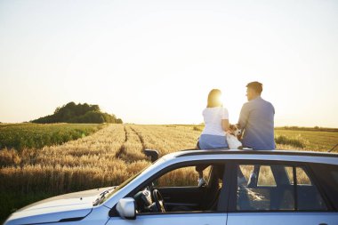 Arabada oturan çift ve köpeklerinin arka görünümü 