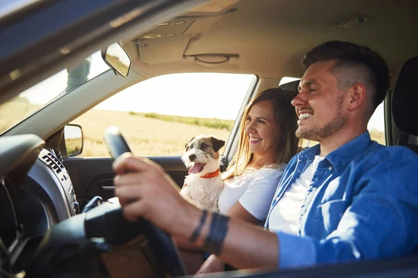 Wesoła Para Ich Pies Podróżują Samochodem Okresie Letnim — Zdjęcie stockowe