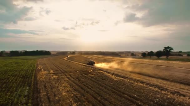 Drone Vista Cosechadora Durante Trabajo Estacional — Vídeo de stock