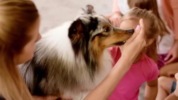 Gelukkige Kinderen Spelen Met Therapie Hond — Stockvideo