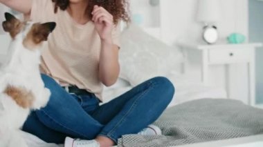 Mutlu kız evde köpekle oynamayı 