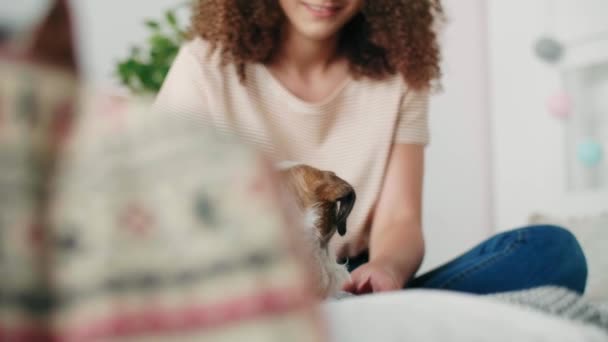 Tiener Meisje Haar Hond Slaapkamer — Stockvideo