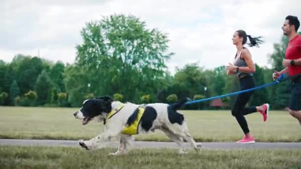 Correre Con Migliore Amico Più Piacere — Video Stock