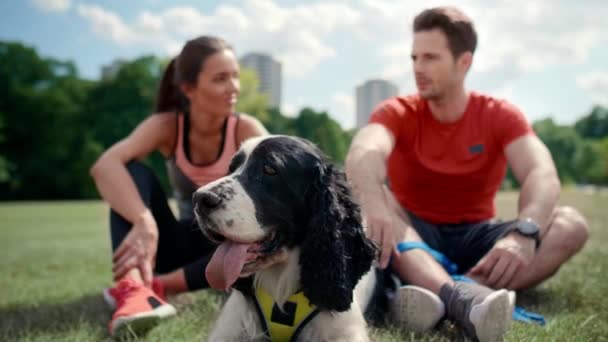 Glückliches Paar Und Hund Ruhen Sich Nach Hartem Training Aus — Stockvideo