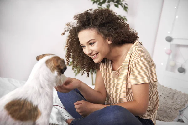 Teenager Mädchen Hat Spaß Mit Hund Schlafzimmer — Stockfoto