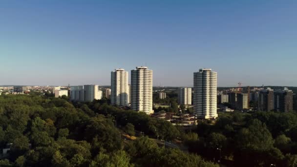 Drone Vista Della Città Degli Alberi — Video Stock