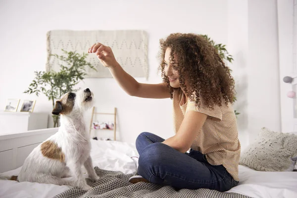 Hermosa Mujer Jugando Con Perro Cama — Foto de Stock