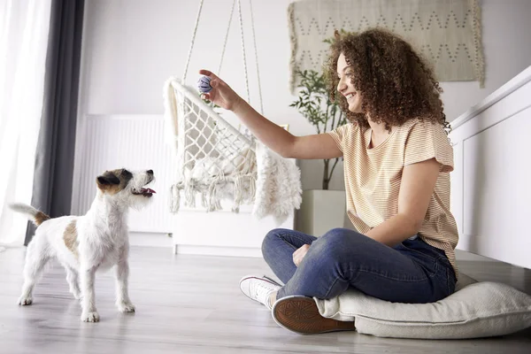 Menina Feliz Brincando Com Seu Cão Casa — Fotografia de Stock