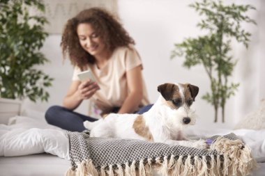 Arka planda eğlenceli köpek ve genç kız 