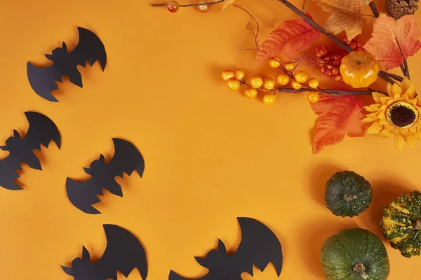 Fundo Halloween Com Morcegos Abóboras — Fotografia de Stock