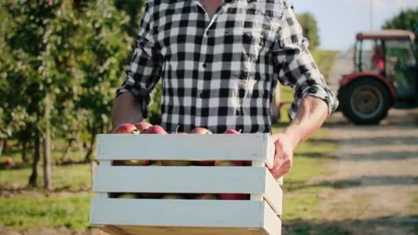 Primer Plano Del Agricultor Que Lleva Una Caja Llena Manzanas — Vídeo de stock
