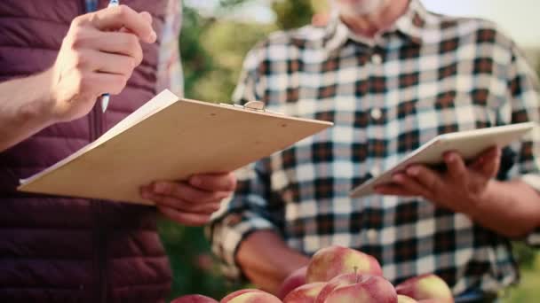 Agricultores Modernos Con Tabletas Examinando Manzanas — Vídeos de Stock