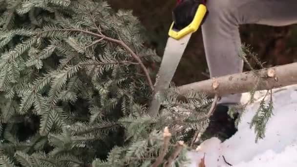 Este Período Ajetreado Durante Navidad — Vídeo de stock