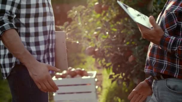 Rekan Bisnis Berjabat Tangan Kebun Apel — Stok Video