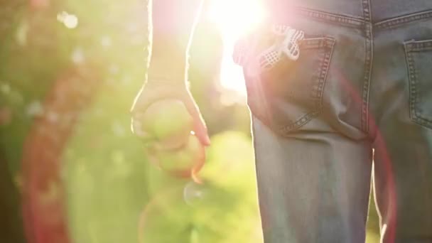 Handhållen Utsikt Över Bonden Promenader Äppelodlingen — Stockvideo