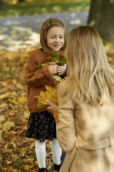 女孩在秋天采摘树叶 — 图库照片