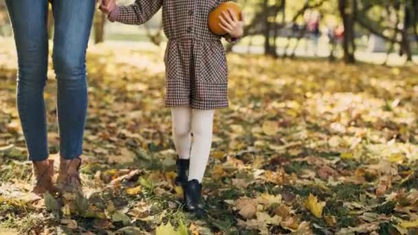 Handheld Video Shows Mother Daughter Autumn Walk — Stock Video