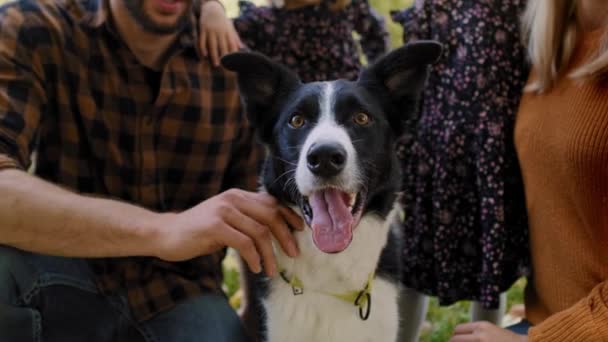 Blick Von Familie Mit Hund Herbstwald Verdrängt — Stockvideo