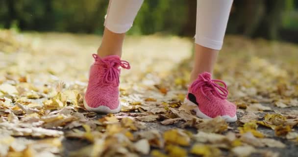 Vista Mano Mujer Estirando Las Piernas Antes Correr — Vídeo de stock