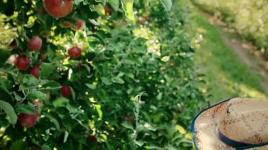 Elma bahçesinde kullanılan dijital teknoloji