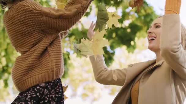 Μητέρα Και Κόρη Μαζεύουν Φύλλα Την Φθινοπωρινή Περίοδο — Αρχείο Βίντεο