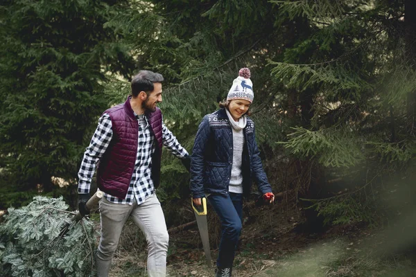 Padre Hijo Encontraron Perfecto Árbol Navidad —  Fotos de Stock