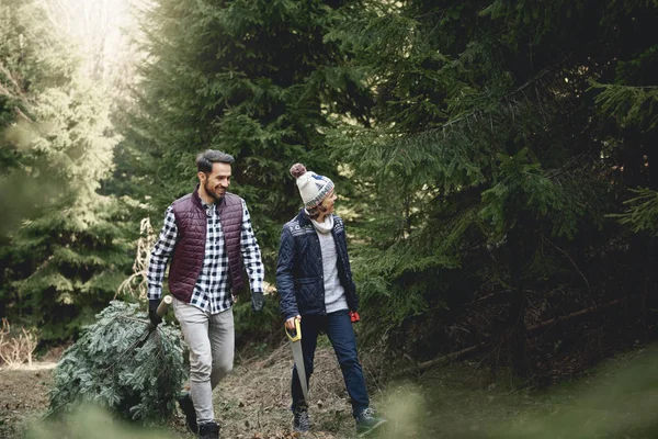 Vater Und Sohn Tragen Großen Und Schweren Weihnachtsbaum — Stockfoto